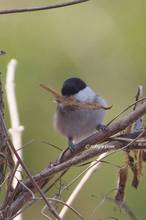 20130211_077.jpg