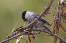 20130211_094.jpg