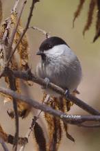20130211_109.jpg