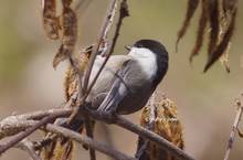 20130211_111.jpg