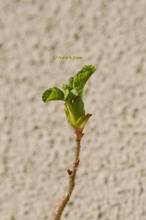 20130221_006.jpg