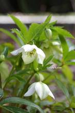 20130221_015.jpg