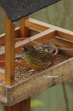 20130226_079.jpg