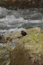 20130302_013.jpg