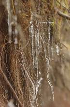 20130302_047.jpg