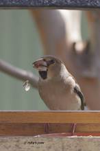 20130307_077.jpg