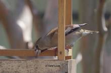 20130307_138.jpg