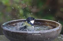 20130307_152.jpg