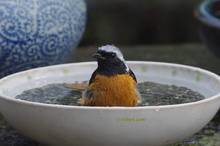 20130307_170.jpg