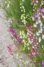 20130313_018.jpg