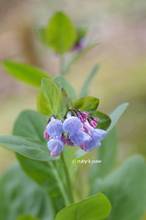 20130313_063.jpg