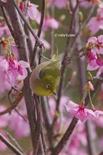 20130314_022.jpg