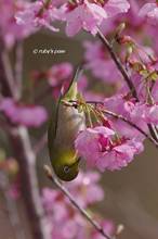 20130314_030.jpg