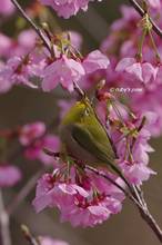 20130314_033.jpg