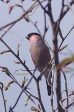 20130314_200.jpg