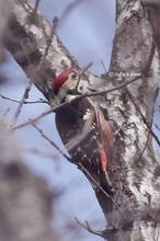 20130316_036.jpg