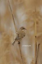 20130317_050.jpg