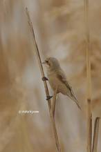20130317_057.jpg