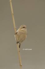 20130317_172.jpg