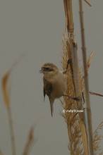 20130317_210.jpg