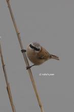 20130317_274.jpg