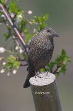 20130321_280.jpg
