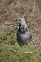 20130321_340.jpg