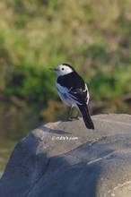 20130321_377.jpg