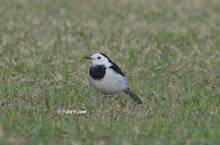 20130321_412.jpg