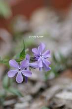 20130324_003.jpg