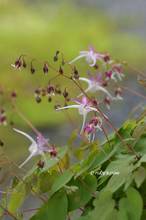 20130327_004.jpg