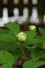 20130327_023.jpg