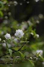20130327_055.jpg