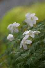 20130327_067.jpg
