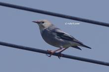 20130403_494.jpg