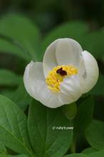20130404_029.jpg