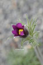 20130404_048.jpg