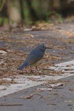 20130404_159.jpg