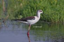 20130410_152.jpg
