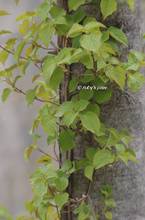 20130414_066.jpg