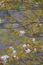 20130414_088.jpg