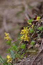 20130414_102.jpg