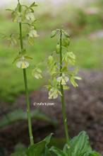 20130418_022.jpg