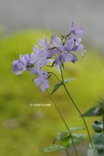 20130418_046.jpg