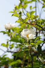 20130419_005.jpg