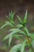 20130420_007.jpg