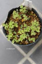 20130423_024.jpg