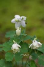 20130423_035.jpg