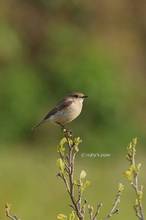 20130425_072.jpg