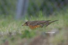 20130425_103.jpg